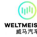 造车新势力的威马汽车和小鹏汽车都进入了TOP100榜单