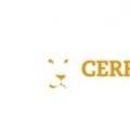 CerraCap Ventures宣布关闭第二只基金