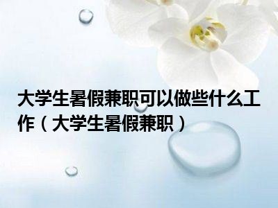 大学生暑假兼职可以做些什么工作（大学生暑假兼职）