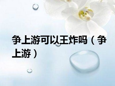 争上游可以王炸吗（争上游）