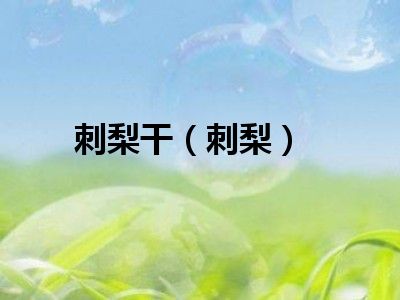 刺梨干（刺梨）