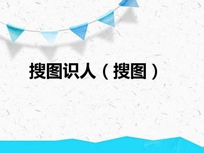 搜图识人（搜图）
