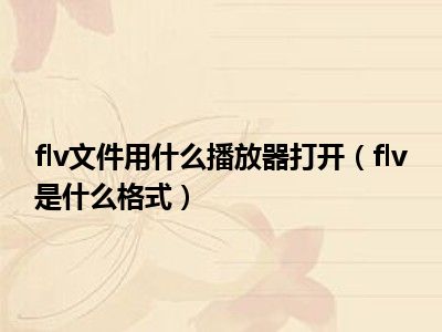 flv文件用什么播放器打开（flv是什么格式）