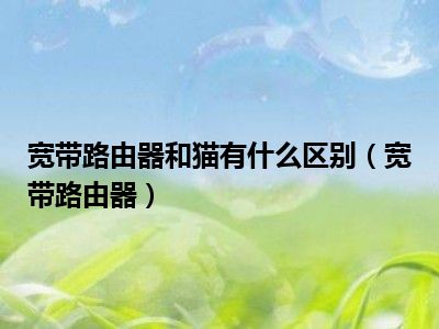 宽带路由器和猫有什么区别（宽带路由器）