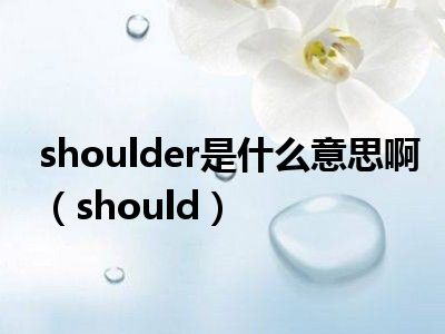shoulder是什么意思啊（should）