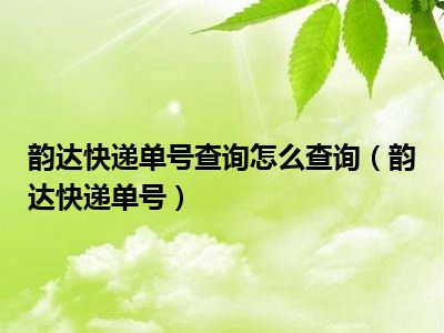 韵达快递单号查询怎么查询（韵达快递单号）