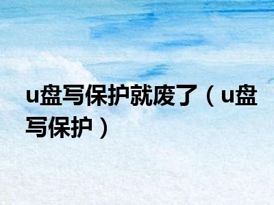 u盘写保护就废了（u盘写保护）