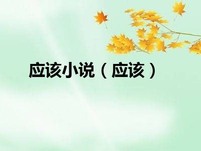 应该小说（应该）