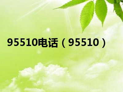 95510电话（95510）