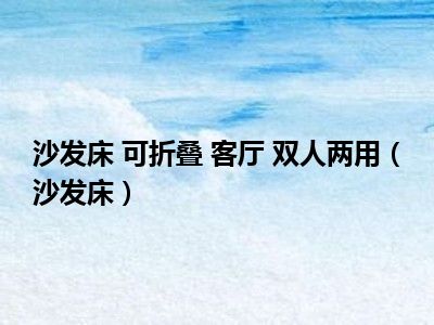 沙发床 可折叠 客厅 双人两用（沙发床）