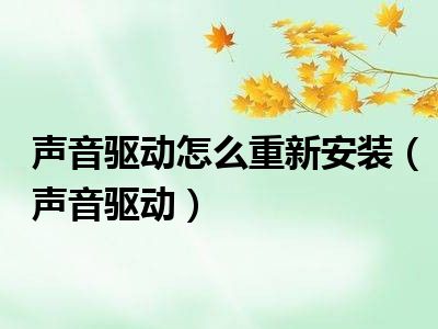 声音驱动怎么重新安装（声音驱动）