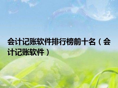 会计记账软件排行榜前十名（会计记账软件）