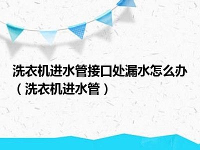 洗衣机进水管接口处漏水怎么办（洗衣机进水管）