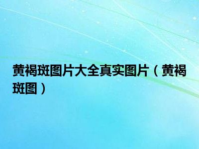 黄褐斑图片大全真实图片（黄褐斑图）