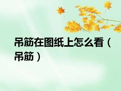 吊筋在图纸上怎么看（吊筋）