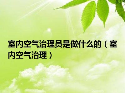 室内空气治理员是做什么的（室内空气治理）
