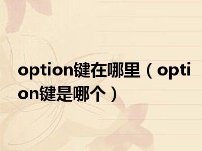 option键在哪里（option键是哪个）