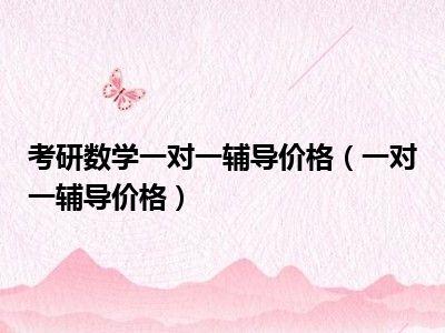 考研数学一对一辅导价格（一对一辅导价格）