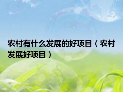 农村有什么发展的好项目（农村发展好项目）