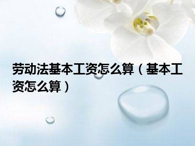 劳动法基本工资怎么算（基本工资怎么算）