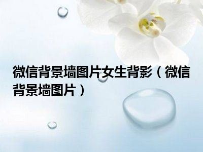 微信背景墙图片女生背影（微信背景墙图片）