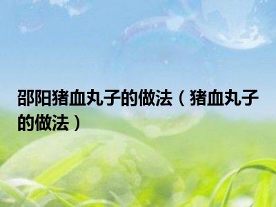 邵阳猪血丸子的做法（猪血丸子的做法）