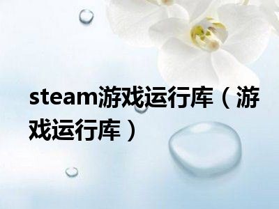 steam游戏运行库（游戏运行库）