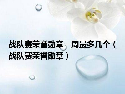 战队赛荣誉勋章一周最多几个（战队赛荣誉勋章）