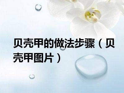 贝壳甲的做法步骤（贝壳甲图片）