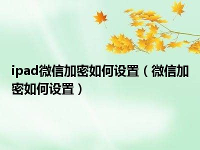 ipad微信加密如何设置（微信加密如何设置）