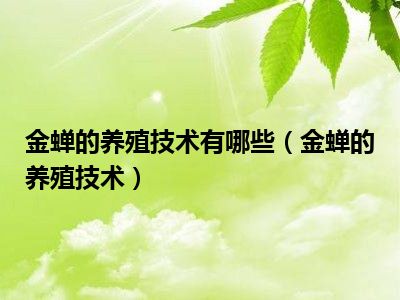 金蝉的养殖技术有哪些（金蝉的养殖技术）