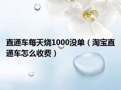 直通车每天烧1000没单（淘宝直通车怎么收费）