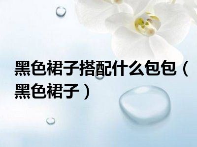 黑色裙子搭配什么包包（黑色裙子）