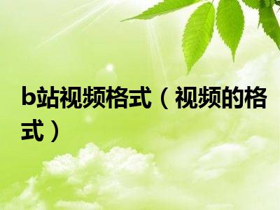 b站视频格式（视频的格式）