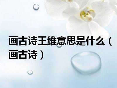 画古诗王维意思是什么（画古诗）