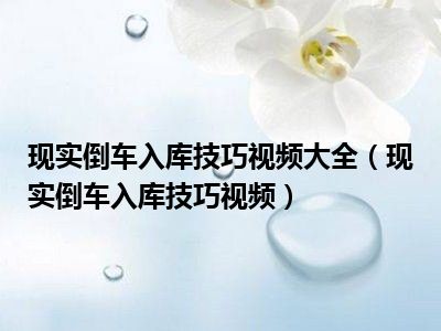 现实倒车入库技巧视频大全（现实倒车入库技巧视频）