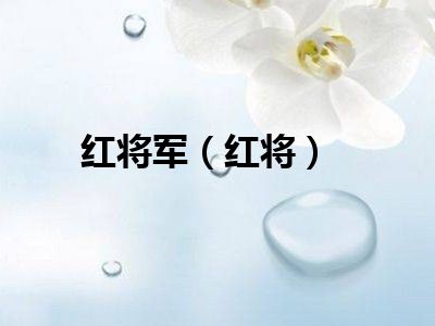 红将军（红将）