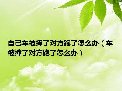 自己车被撞了对方跑了怎么办（车被撞了对方跑了怎么办）