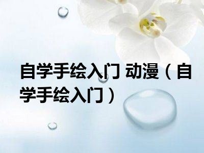 自学手绘入门 动漫（自学手绘入门）