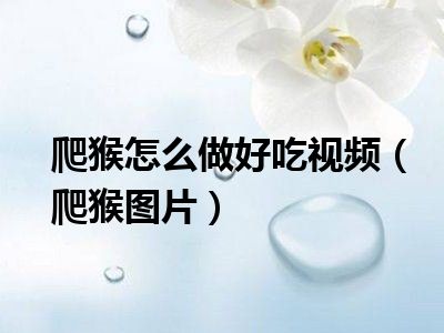 爬猴怎么做好吃视频（爬猴图片）