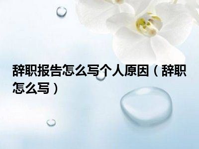 辞职报告怎么写个人原因（辞职怎么写）