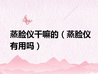 蒸脸仪干嘛的（蒸脸仪有用吗）