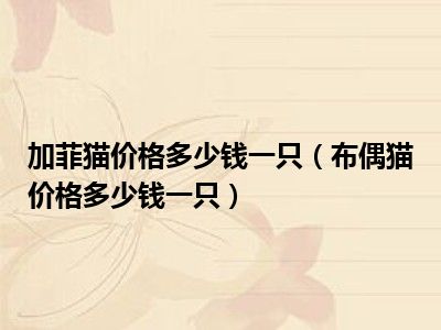 加菲猫价格多少钱一只（布偶猫价格多少钱一只）