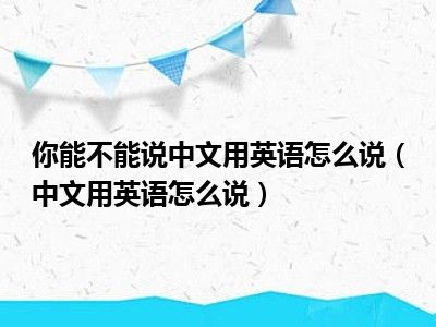 你能不能说中文用英语怎么说（中文用英语怎么说）