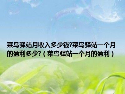 菜鸟驿站月收入多少钱?菜鸟驿站一个月的盈利多少?（菜鸟驿站一个月的盈利）