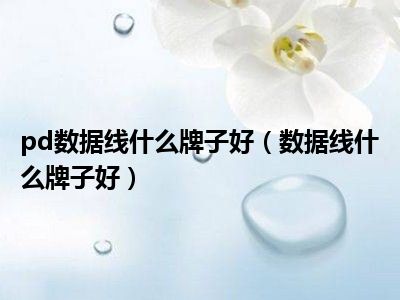pd数据线什么牌子好（数据线什么牌子好）