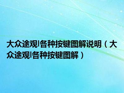 大众途观l各种按键图解说明（大众途观l各种按键图解）