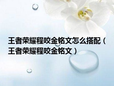 王者荣耀程咬金铭文怎么搭配（王者荣耀程咬金铭文）