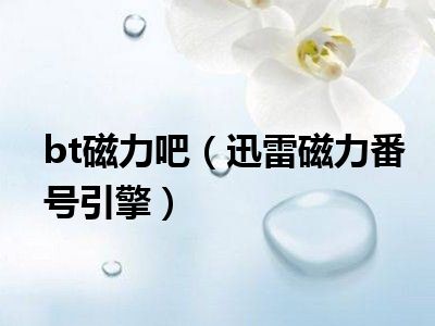 bt磁力吧（迅雷磁力番号引擎）