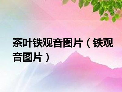 茶叶铁观音图片（铁观音图片）